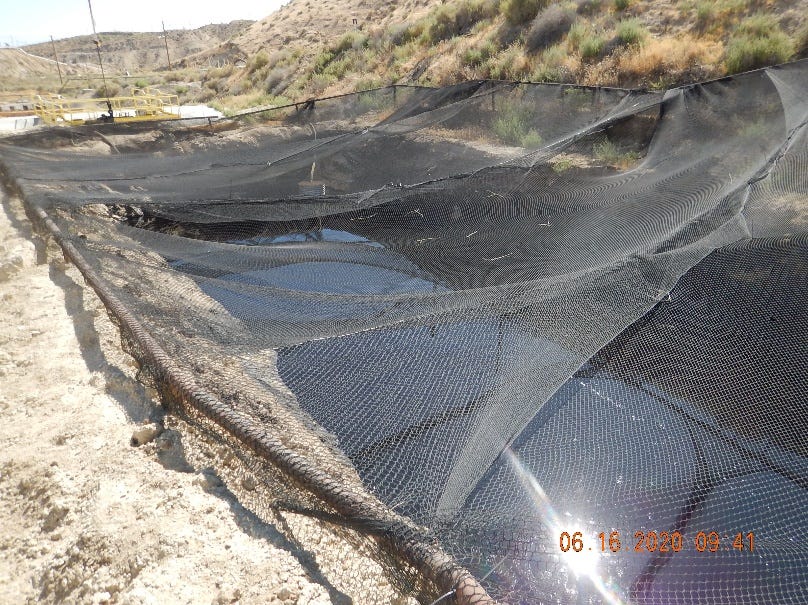 Netting covers a surface expression near Sandy Creek to protect wildlife.