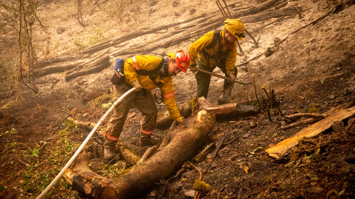 Firefighters work on mopping up a back burn near Leaburg, Ore on Sept. 10, 2020. A dearth of resources has hampered the fight against the Holiday Farm Fire.