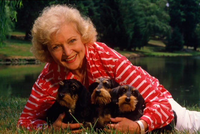 Portrait of actress Betty White, a noted animal activist and star on the television series "The Golden Girls"  taken on July 15, 1986. 