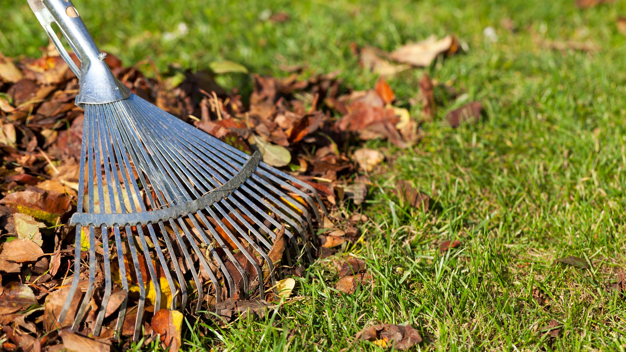 Fall cleaning: Here&#39;s where to get rakes, trash bags and more on sale