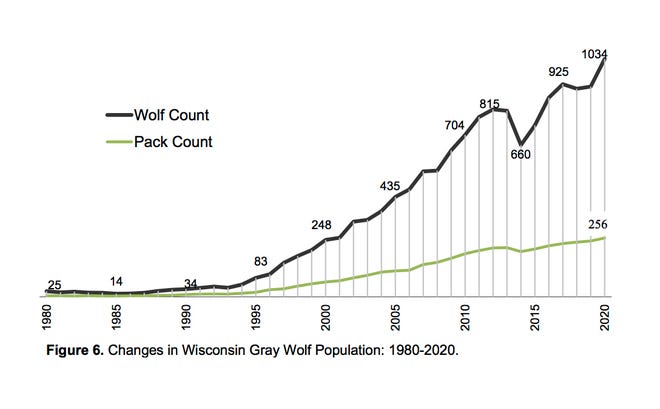 The population of gray wolves in Wisconsin increased to a modern-era high in late winter 2020, according to an estimate from the Department of Natural Resources.