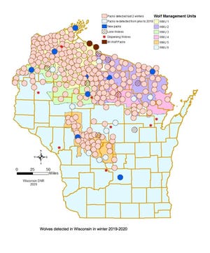 A map shows gray wolf packs in Wisconsin detected in a 2019-20 winter tracking survey.