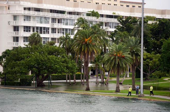 Rain and the end of the king tides causes the Intracoastal Waterway to spill into Bradley Park on Monday in Palm Beach. [MEGHAN MCCARTHY/palmbeachdailynews.com]