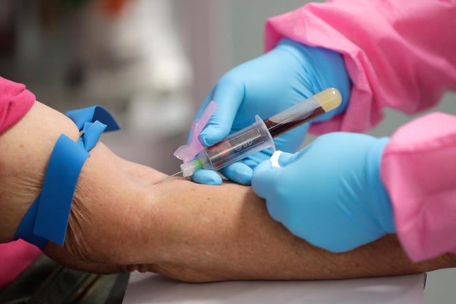 In this Associated Press file photo, a health worker draws blood from a patient for a COVID-19 coronavirus antibody test in DeLand. [JOHN RAOUX / AP]