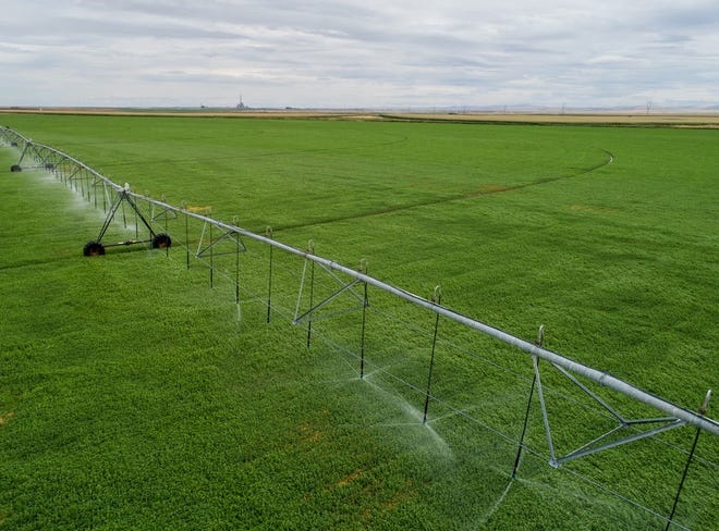 Threemile Canyon Farms won the 2020 Dairy Sustainability Award from the Innovation Center for US Dairy.