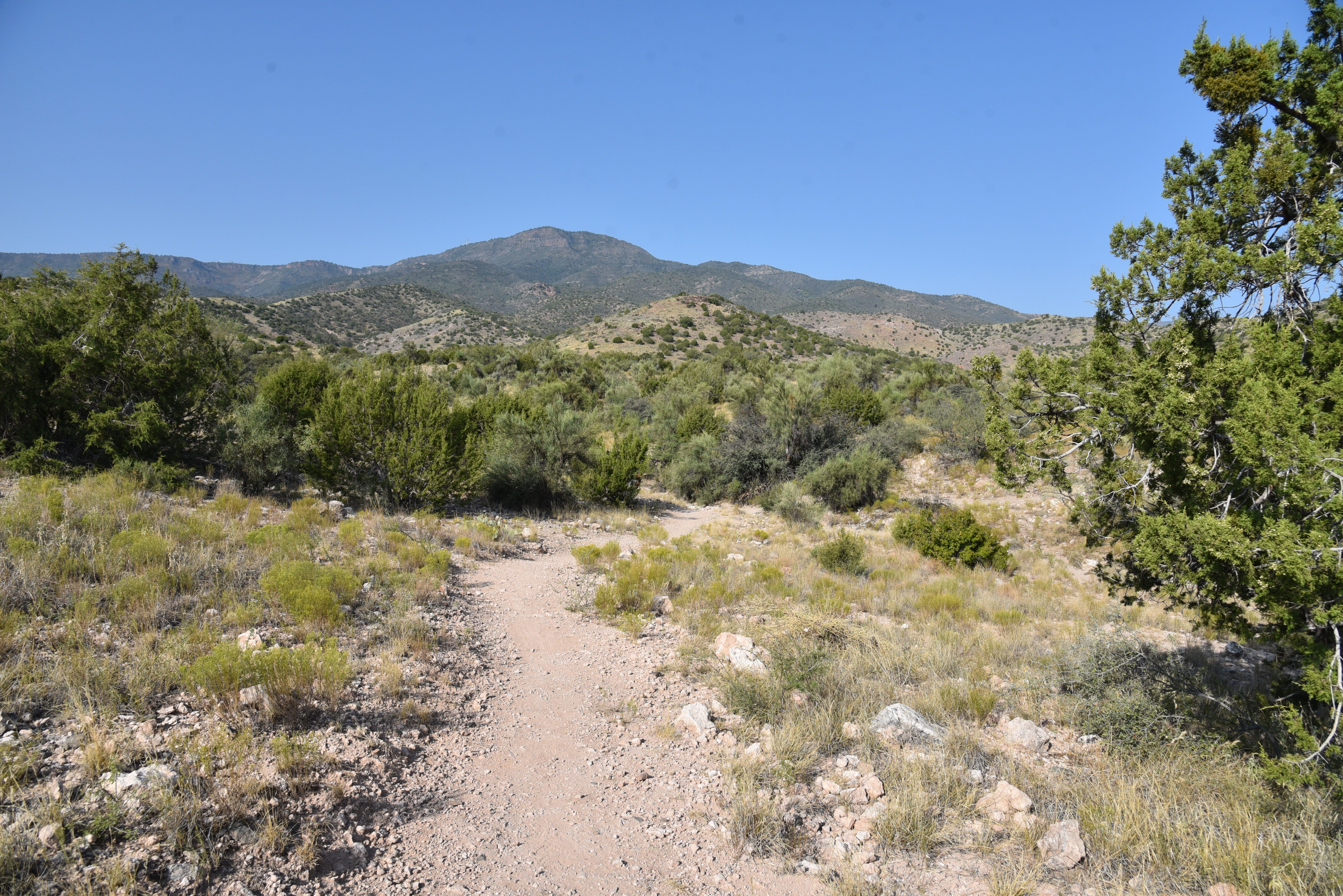 Prescott National forest hikes New Blowout Wash trail system