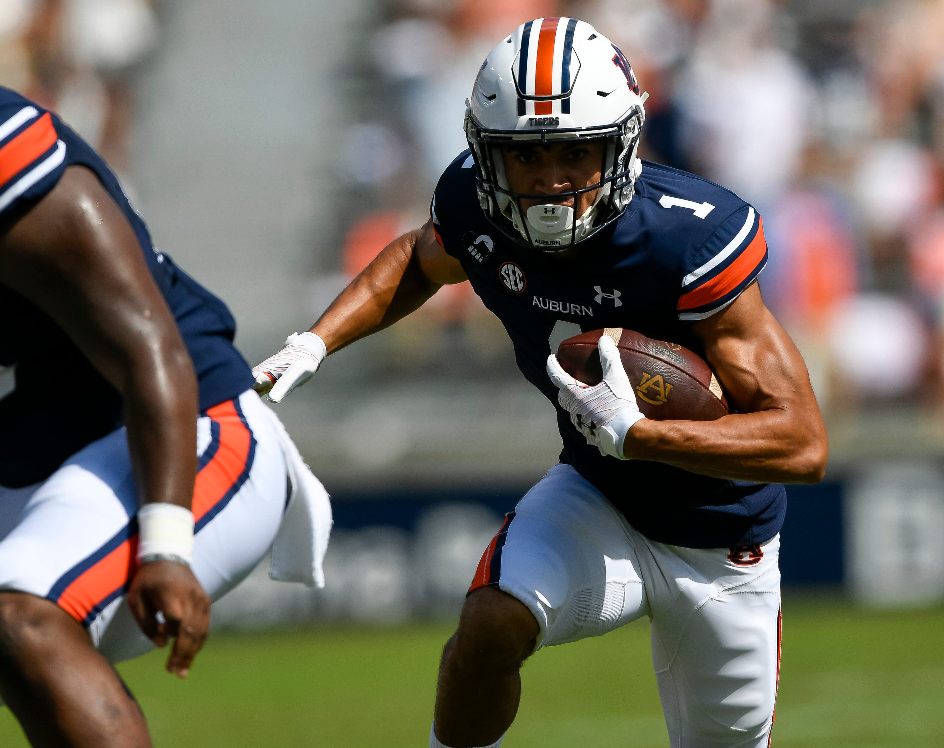 anthony schwartz dynasty anthony schwartz dynasty