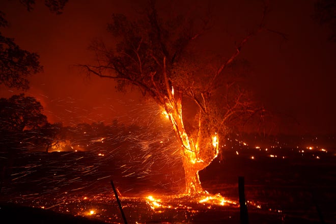 Embers fly from a burning tree on a property along Platina Road on Sunday night, Sept. 27, 2020.