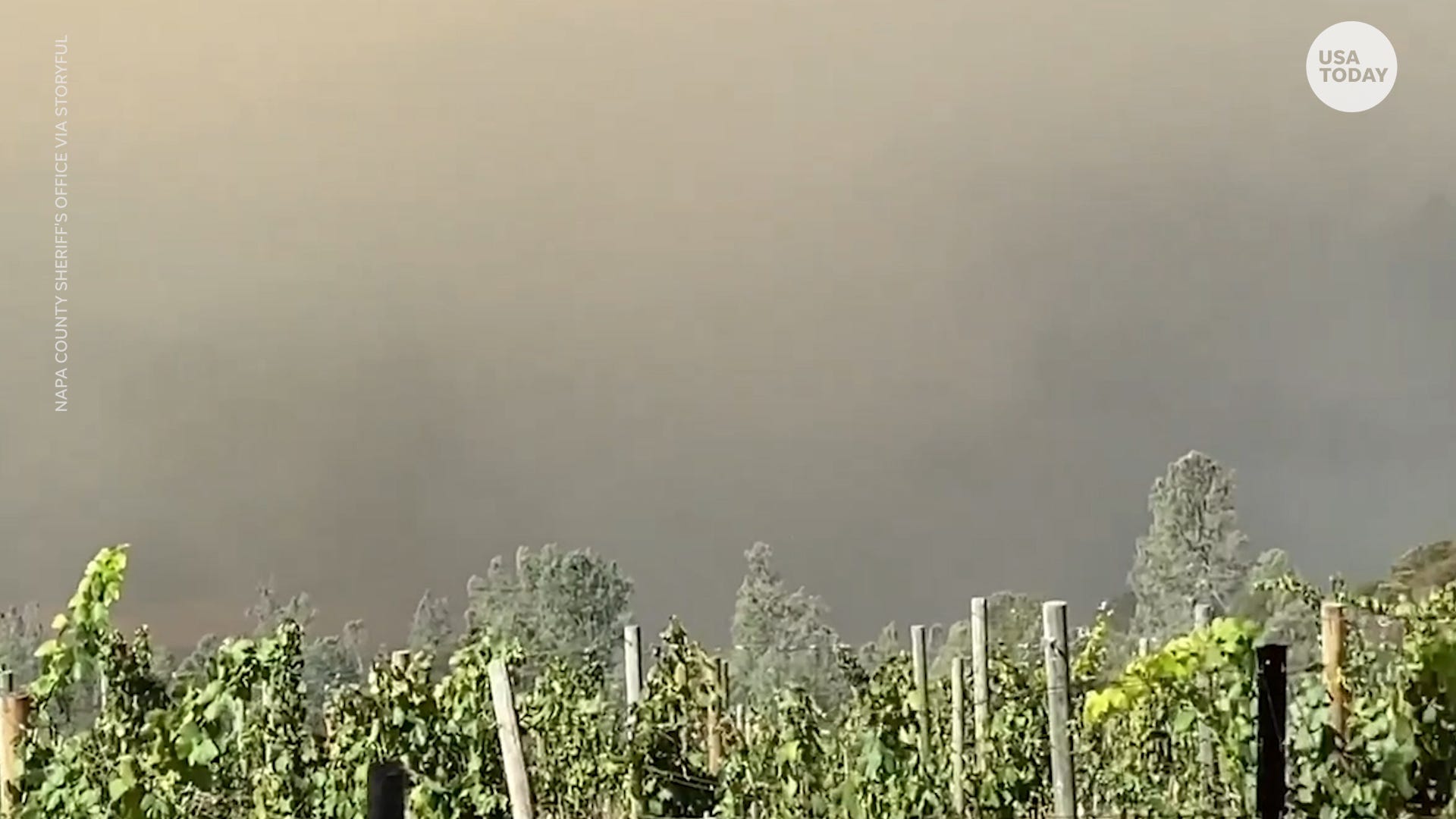 Glass Fire destruction: California's world-famous wineries impacted
