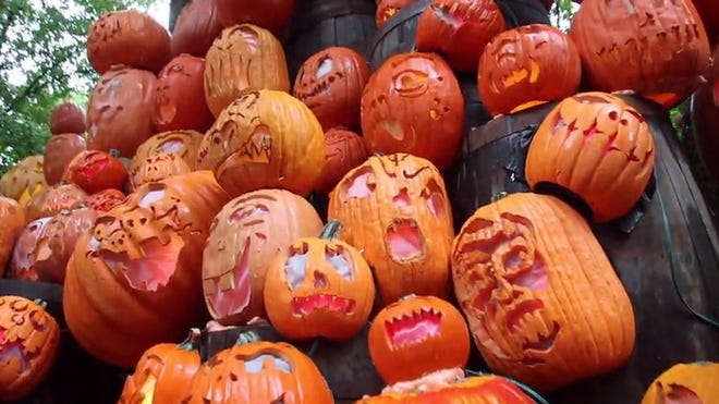 Louisville Jack O Lantern Spectacular Tickets Hours Theme