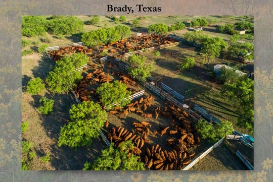 Screen capture from kinglandwater.com/properties/ford-ranch that shows livestock pens on the Ford Ranch outside Brady, Texas.
