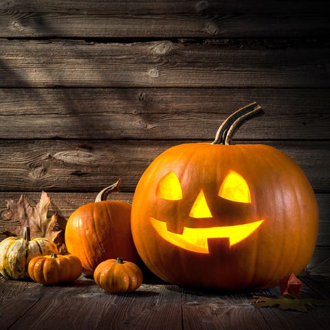 Need to find the perfect pumpkin for your jack-o-l