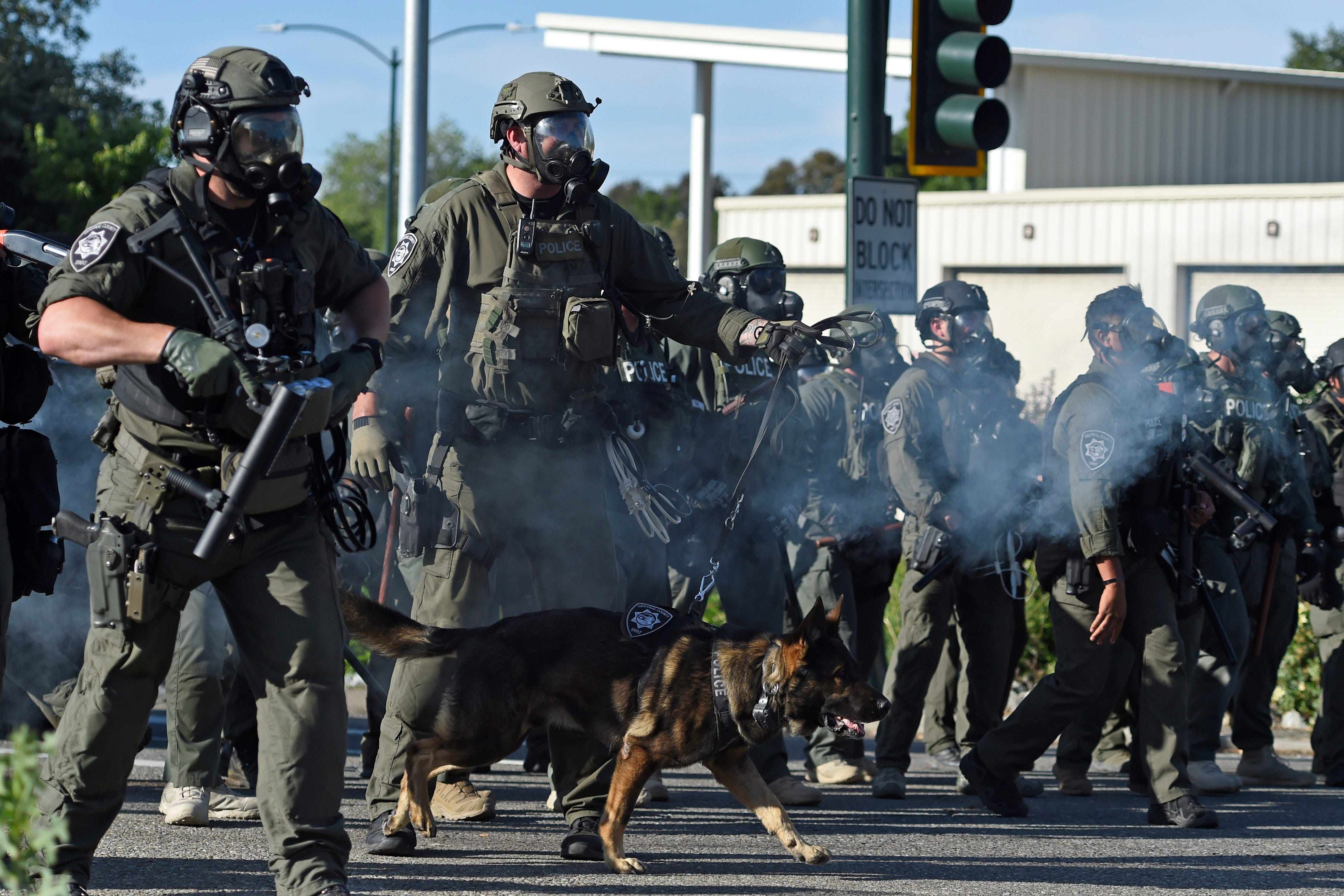 Officers with a police dog approached protesters after they marched onto the I-680 freeway during a Black Lives Matter demonstration in Walnut Creek, California, on June 1.