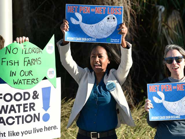 Demonstrators against a proposed offshore fish farm at the corner of Ken Thompson Parkway and John Ringling Parkway in January.