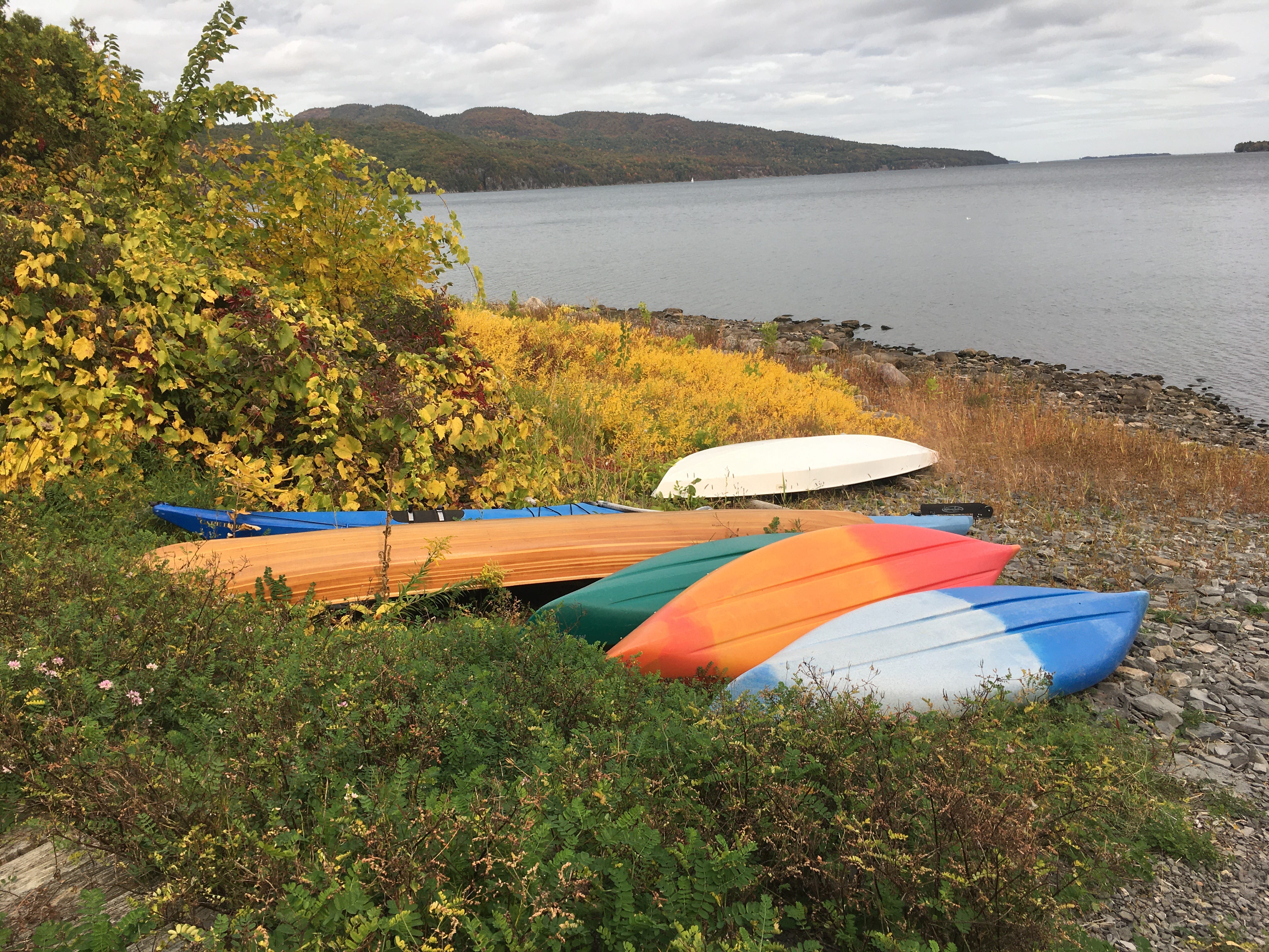 A line of kayaks on the shore in front of a wterway