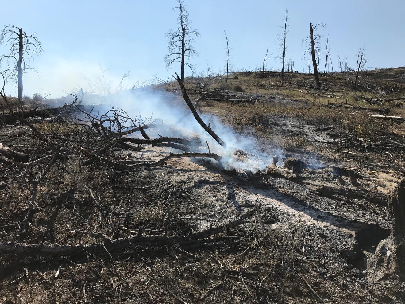 Montana fires A list of the seven most destructive wildfires in 2020