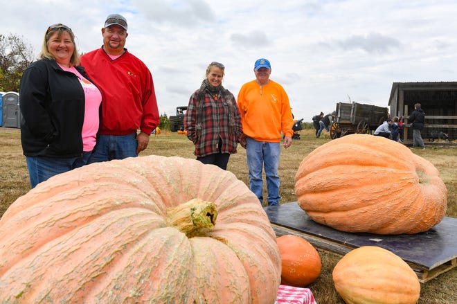Tamra and Larry Ziems, Cassandra Swanson and Ryan Althoff stand with their giant pumpkins at the Great South Dakota Pumpkin Weigh-off on Saturday, October 3, 2020, at Riverview Tree Farm in Canton. The Ziems' pumpkin weighed in at 822 pounds and Althoff's at 972 pounds.