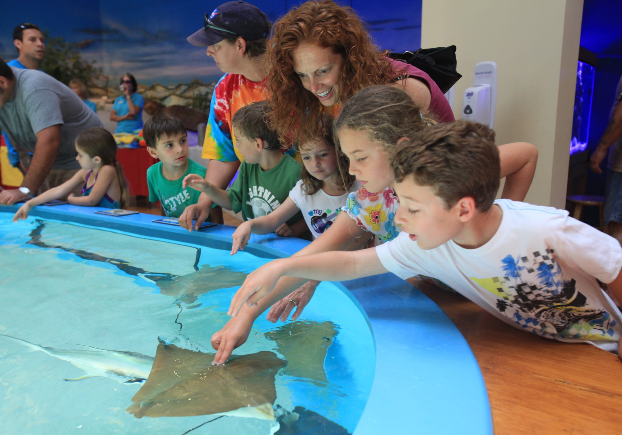 Marine Discovery Center to start off birding excursions in January