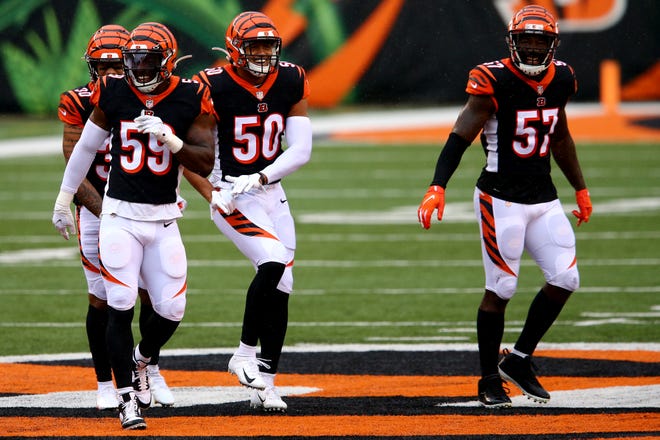 Cincinnati Bengals outside linebacker Jordan Evans (50), center, celebrates a sack in the fourth quarter of a Week 4 NFL football game against the Jacksonville Jaguars, Sunday, Oct. 4, 2020, at Paul Brown Stadium in Cincinnati. The Cincinnati Bengals won 33-25.