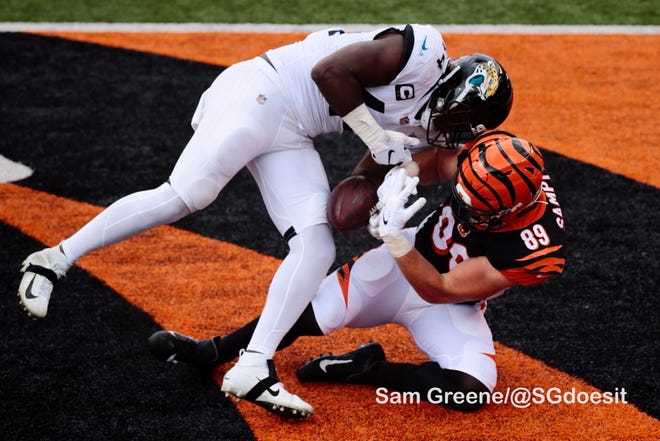 Jacksonville Jaguars linebacker Myles Jack intercepts the ball as Cincinnati Bengals tight end Drew Sample attempts to catch it in the end zone on Sunday.