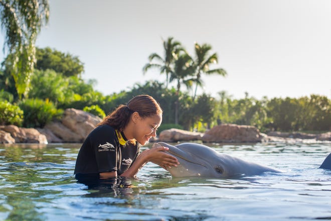 Dolphin Lagoon