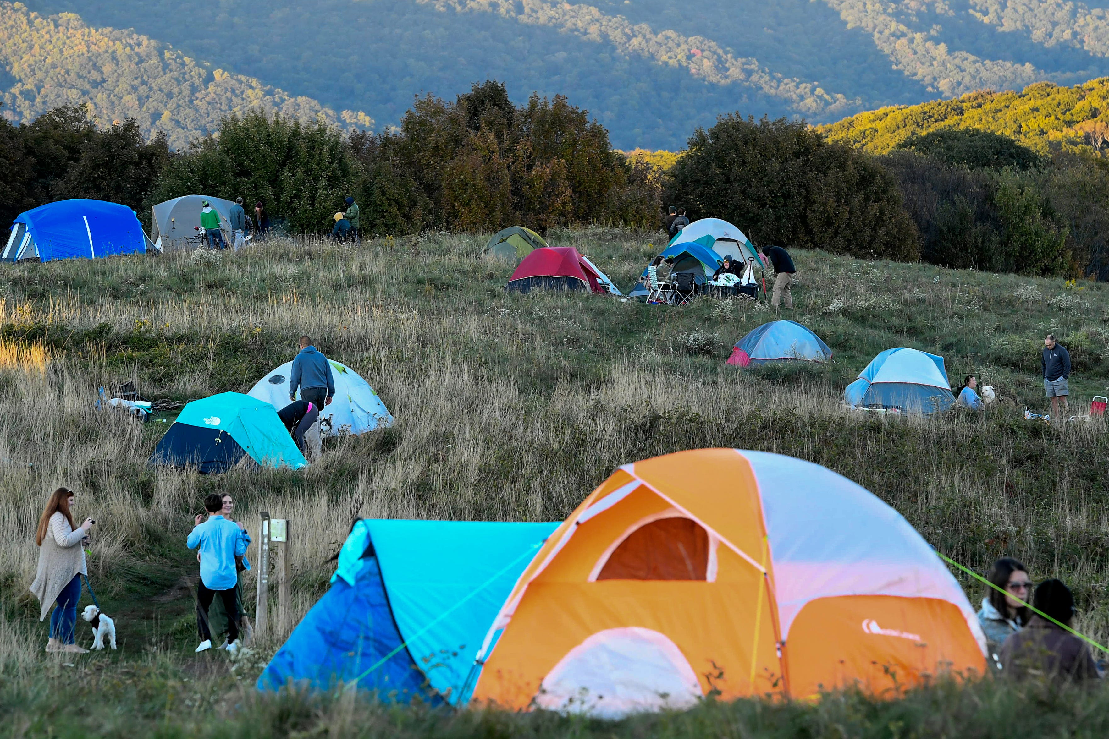camping near max patch