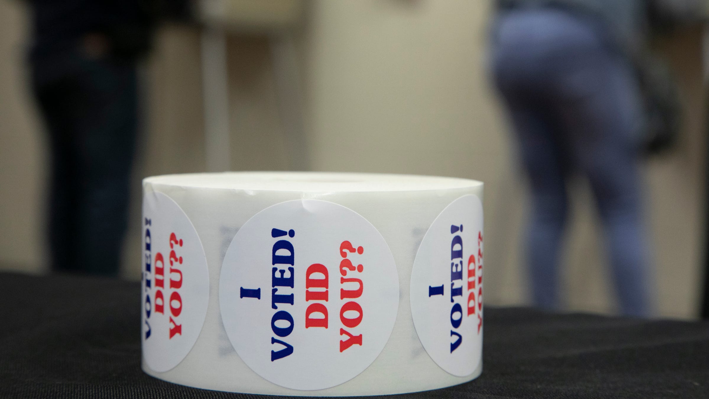 Michigan election 2022 voter guide: See who's on your ballot