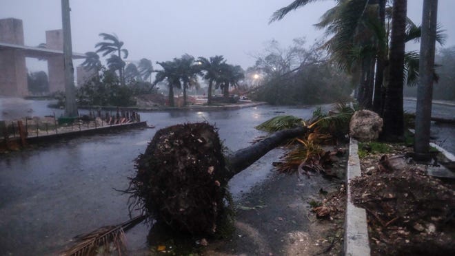 Hurricane Delta damage: Videos show impact of storm aimed at Louisiana