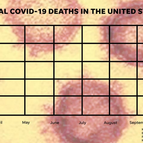 COVID-19 deaths in the United States