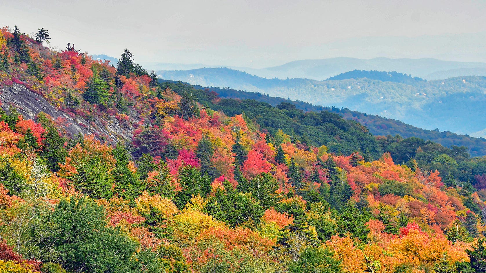 Asheville Fall Colors 2025