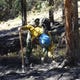 Firefighters secure fire line during mop-up by cold trailing - using their bare hands to feel for hot spots, in this undated photo posted on Friday, Oct. 9, 2020.