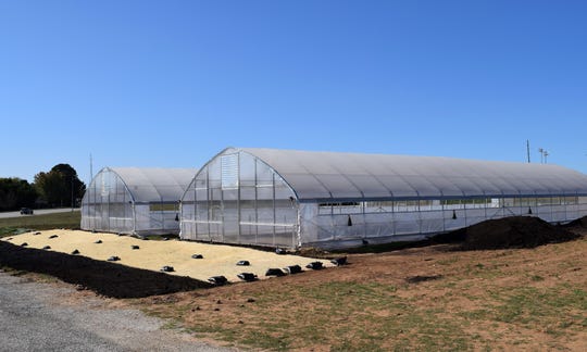 Amanda Belle’s Farm is a collaborative venture between CoxHealth and Springfield Community Gardens.