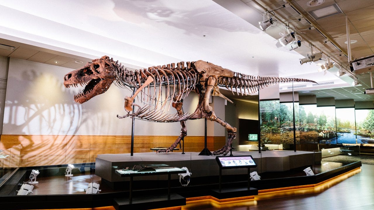 Field museum staff guide you from sue’s life in the cretaceous to the latest scientific research. Sue the TRex Cast from Field Museum will visit Children's Museum