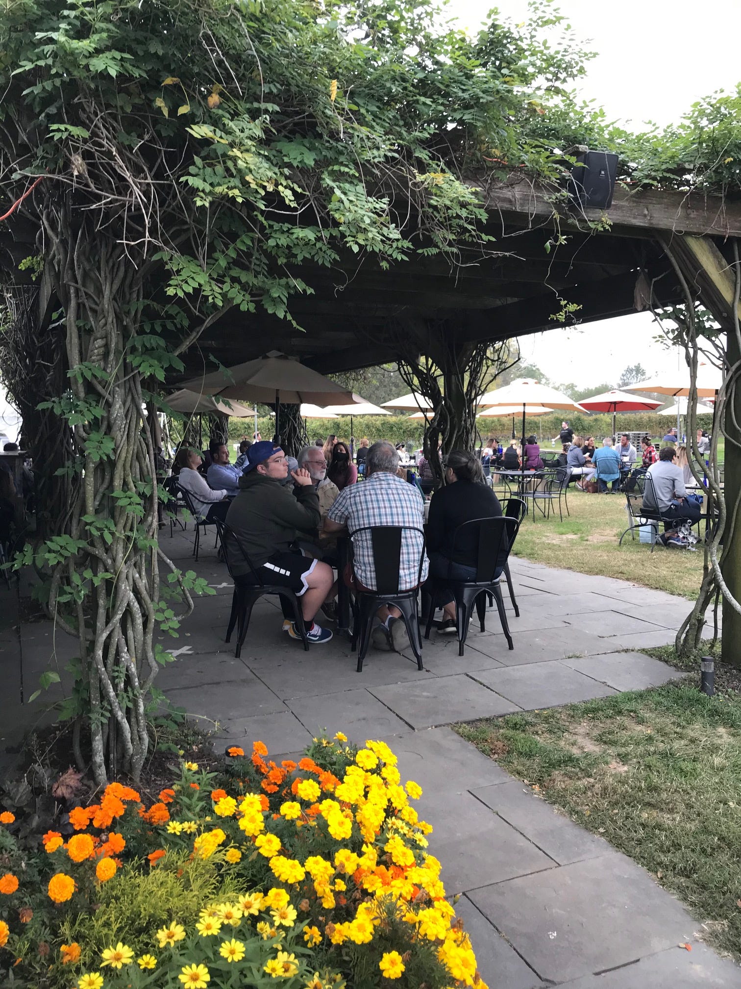 Wine enthusiasts flock outside to relax under the grape arbor of the patio or on the lawn at Auburn Road Vineyards and Winery in Salem County  instead of sitting inside.