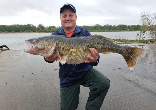 Neal Leier, of Bismarck, North Dakota,  displays the 15-pound, 13-ounce walleye he caught May 18, 2018 on the Missouri River in Bismarck. The 32Â-1/2-inch fish broke a state record that had stood of nearly six decades. [North Dakota Game and Fish Department]