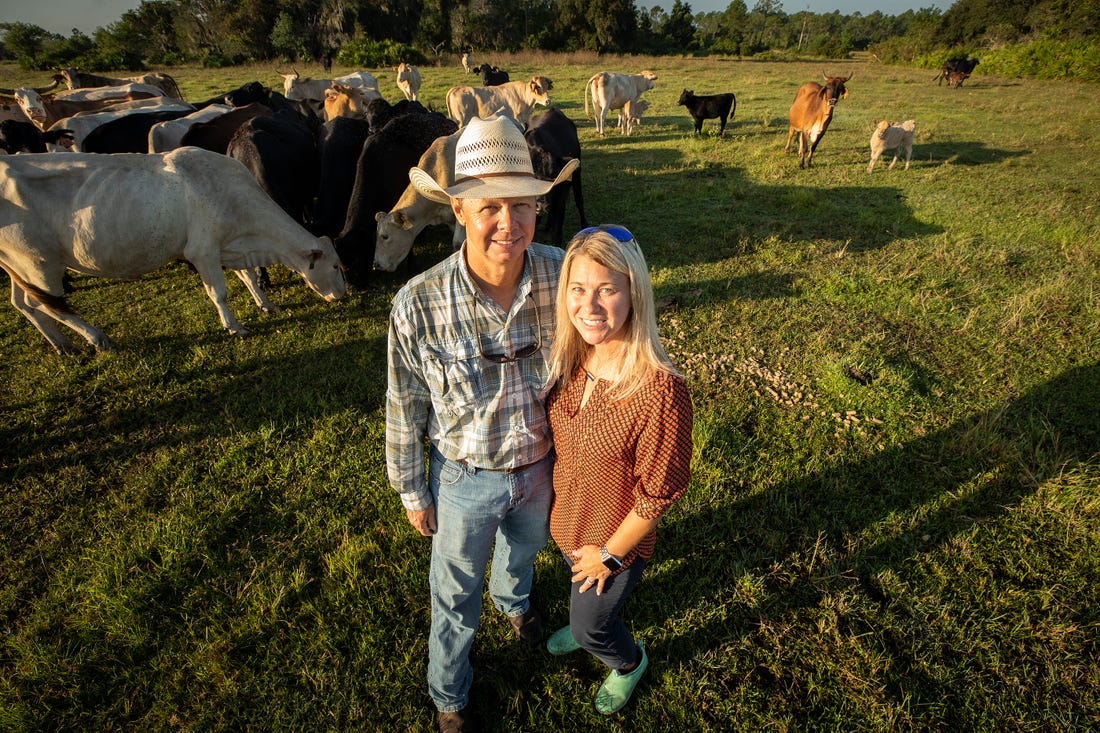 Polk cattle ranchers face competition from foreign beef sources