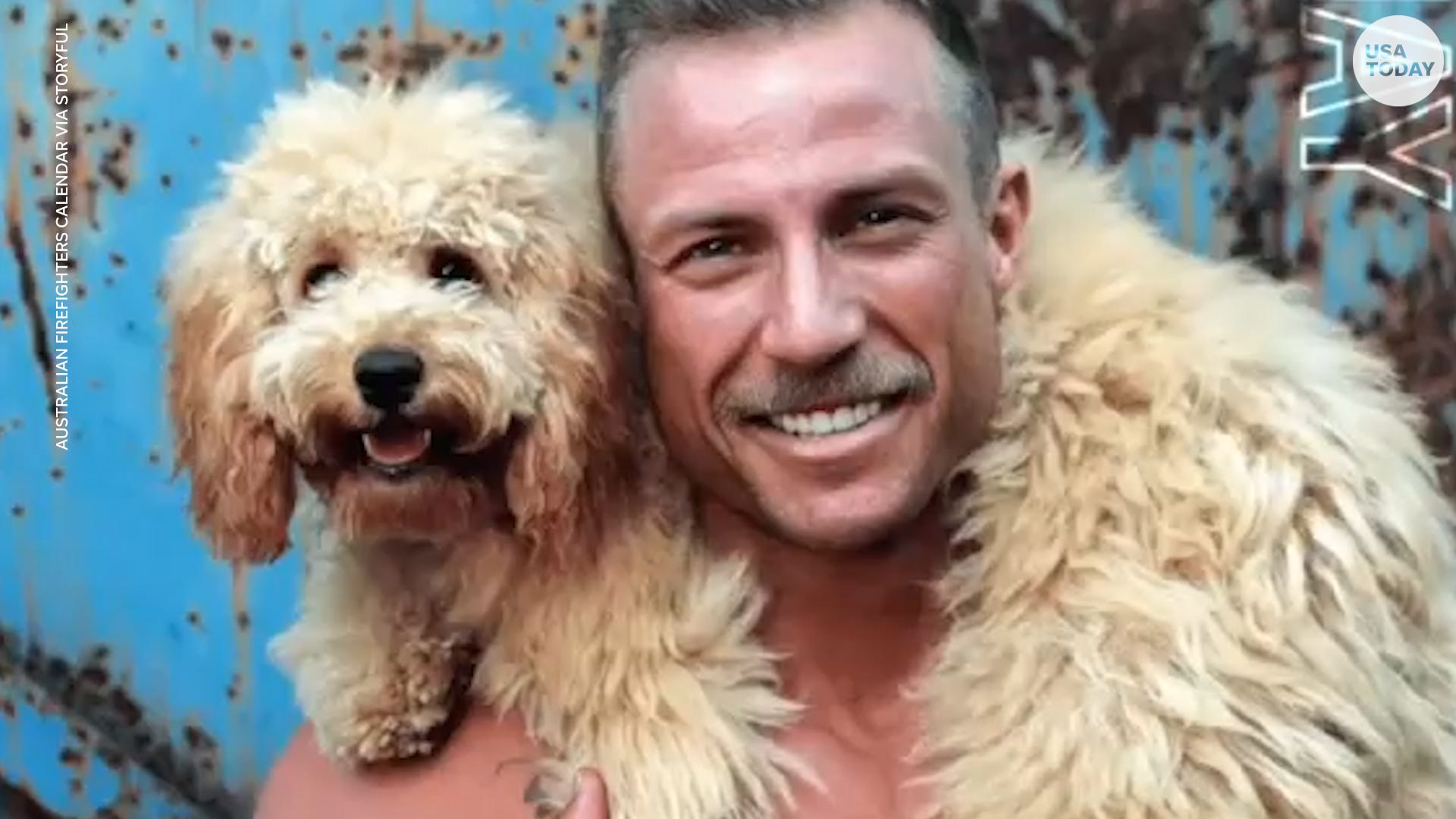 forever homes rescue