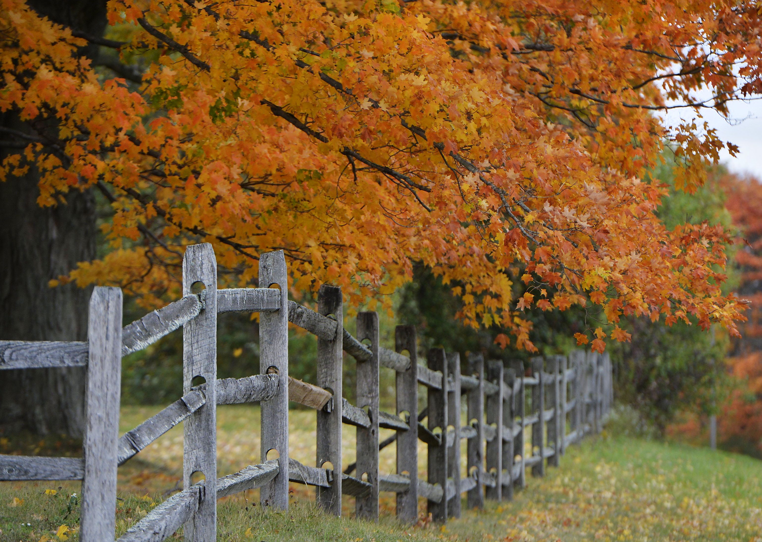 Fall 2022 in Erie, PA Harvest fests and more things to do this autumn