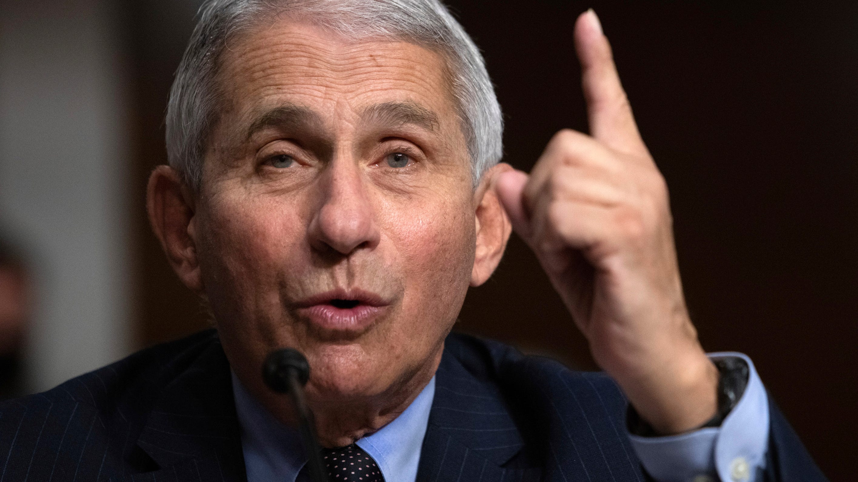 Dr. Fauci called "disaster" by Trump in latest attack on the medical expert Fauci Dr. Fauci called "disaster" by Trump in latest attack on the medical expert
