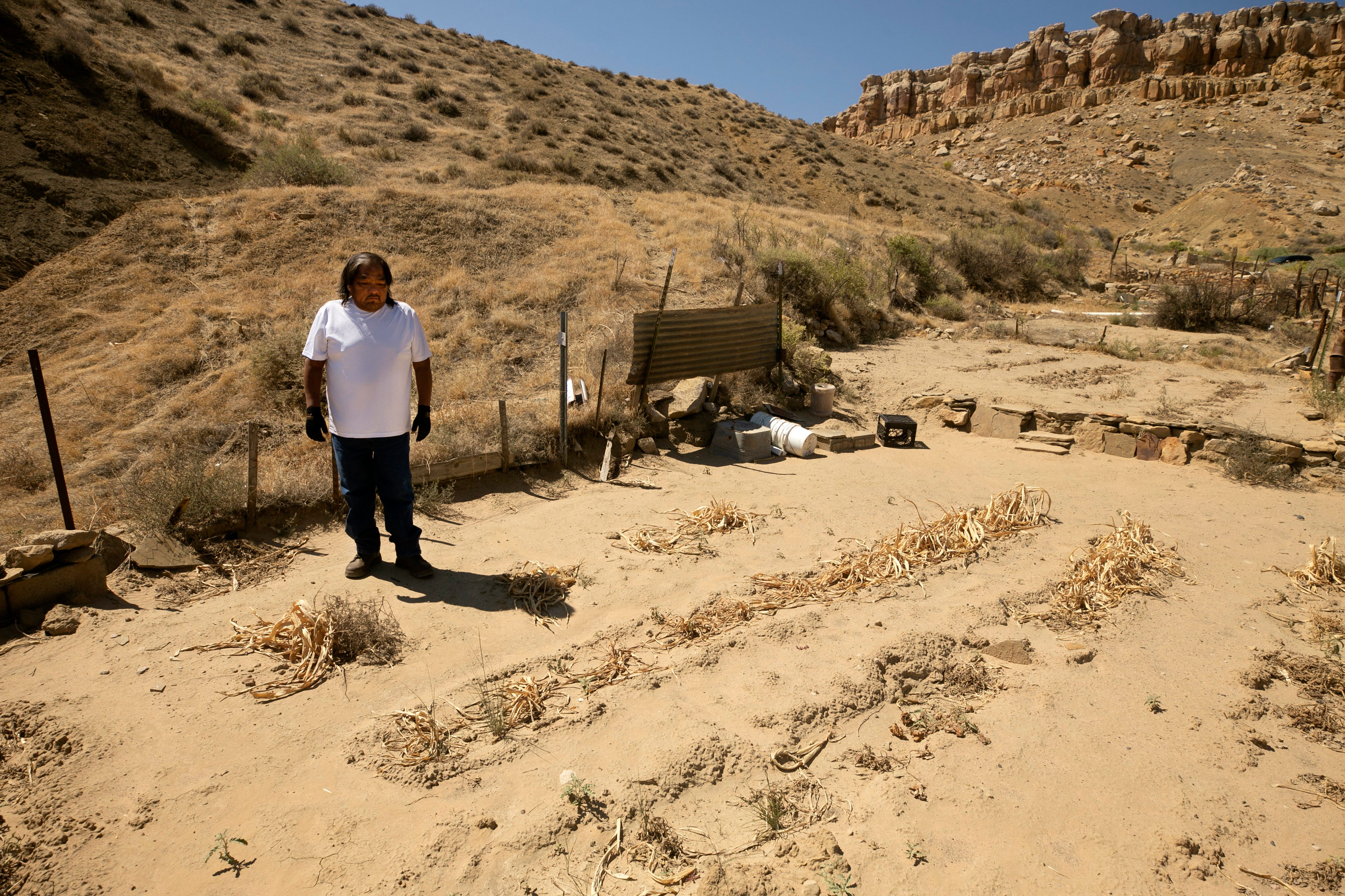 Howard Dennis stands among dead corn plants on Sept. 10, 2020. Families were able to harvest some crops in gardens by the spring, but many plants shriveled in the heat. Dennis and his family harvested a decent crop on other fields.