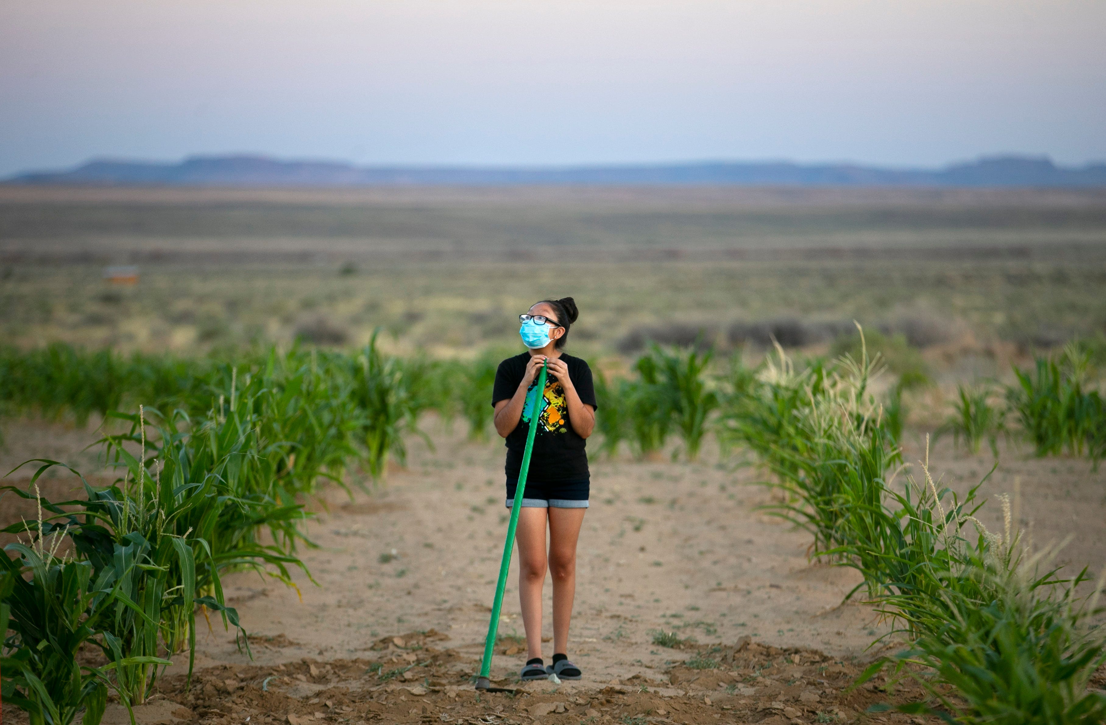 Recca Lomawaima, 15, pauses while working in the field at her family's home below Second Mesa on the Hopi Reservation on July 30, 2020.