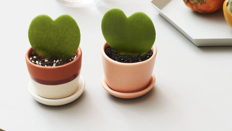 30 awesome gifts under $30 for everyone on your holiday shopping list 30 awesome gifts under $30 for everyone on your holiday shopping list