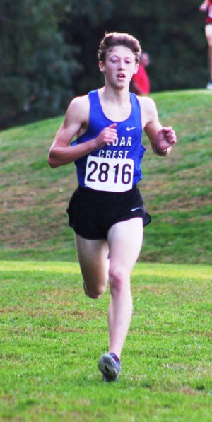 Ryan Wolfe placed fifth at Tuesday's Lancaster-Lebanon League Championships and in the process led the Falcons to a runner-up finish in the team competition.