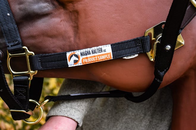Yarger replaced the clips and buckles found on traditional halters with a magnetic plate and magnet to make it easier for para-equestrians to halter a horse.