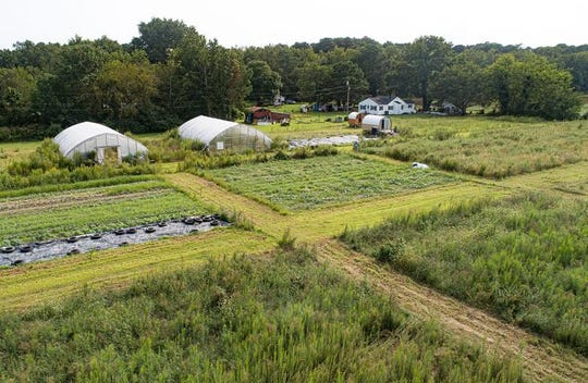 Thelonius Cook's 7.5-acre farm on Virginia’s Eastern Shore is part of a growing movement of Black-owned agricultural operations that embraces organic practices that can be traced to African cultures.