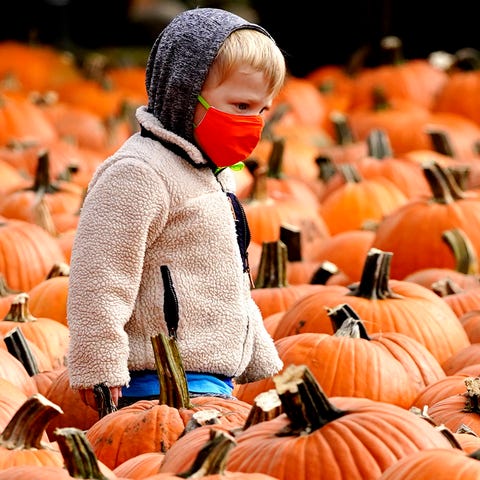 Visiting a pumpkin patch in Lincolnshire, Illinois