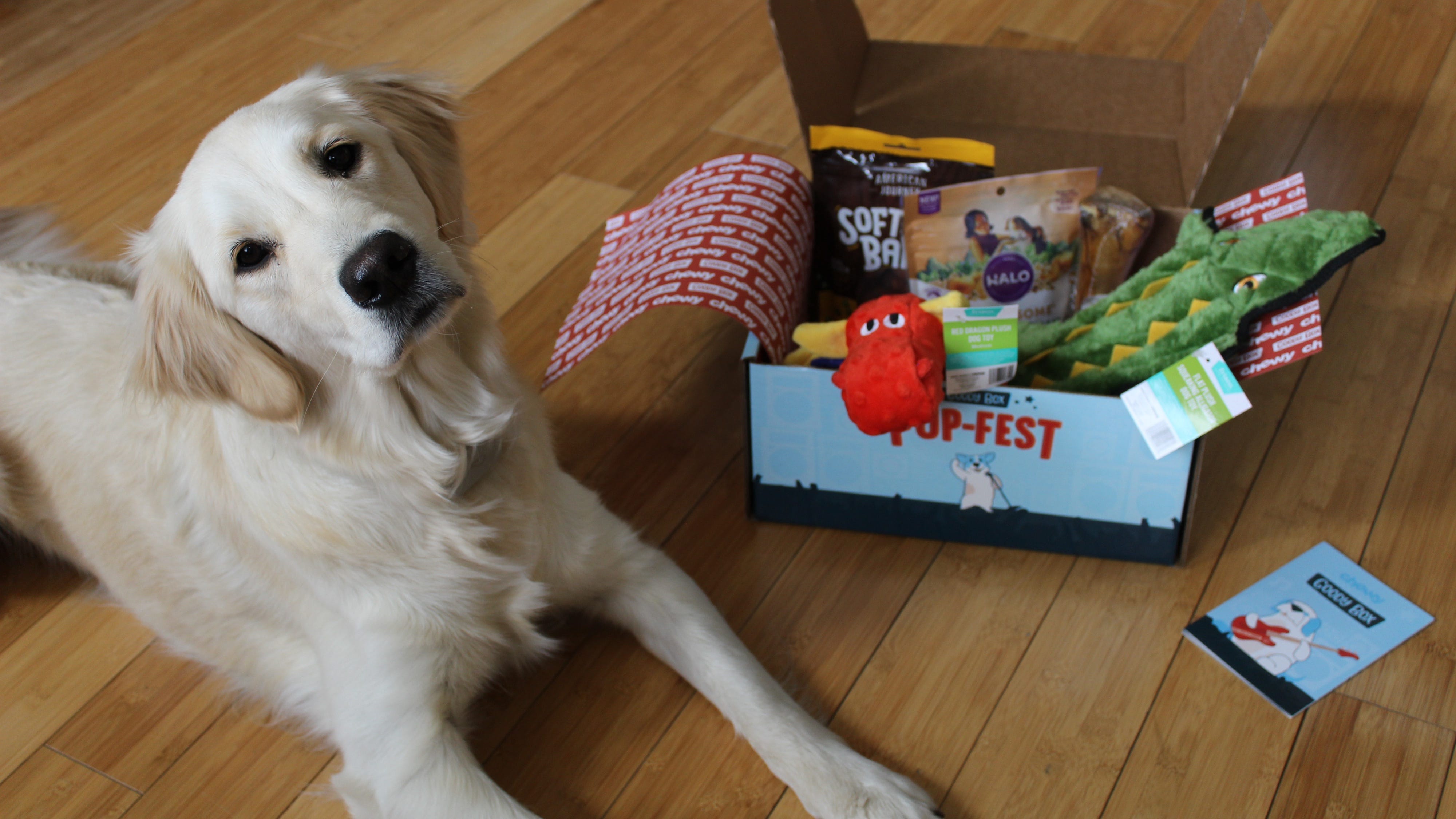 best gifts for pet lovers