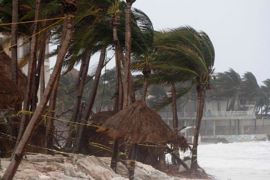 Palm trees are buffeted by the winds of Hurricane Zeta in Playa del Carmen, Mexico, early Tuesday, Oct. 27, 2020. Zeta is leaving Mexico's Yucatan Peninsula on a path that could hit New Orleans Wednesday night.