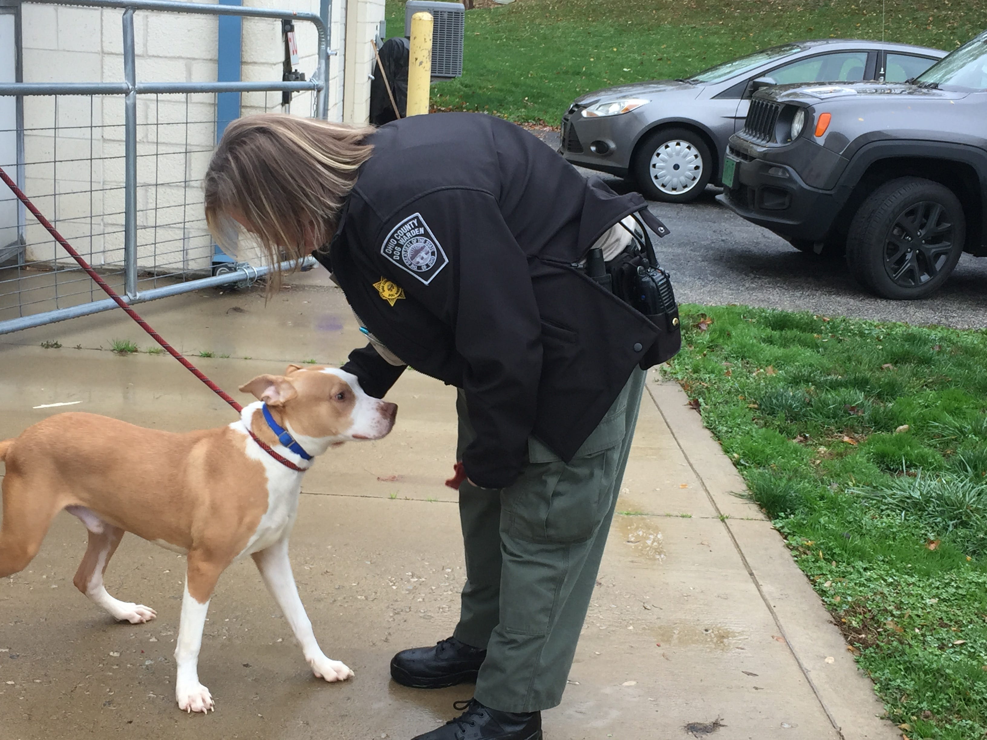 Mansfield woman's bequest helps Richland County Dog Shelter dogs