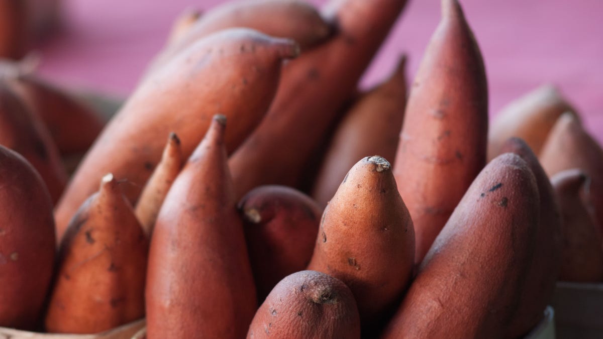 Are yams and sweet potatoes the same? 5 questions answered about the favorite fall food